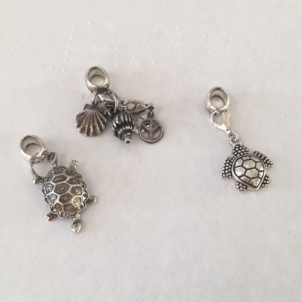925 and sterling pandora charms